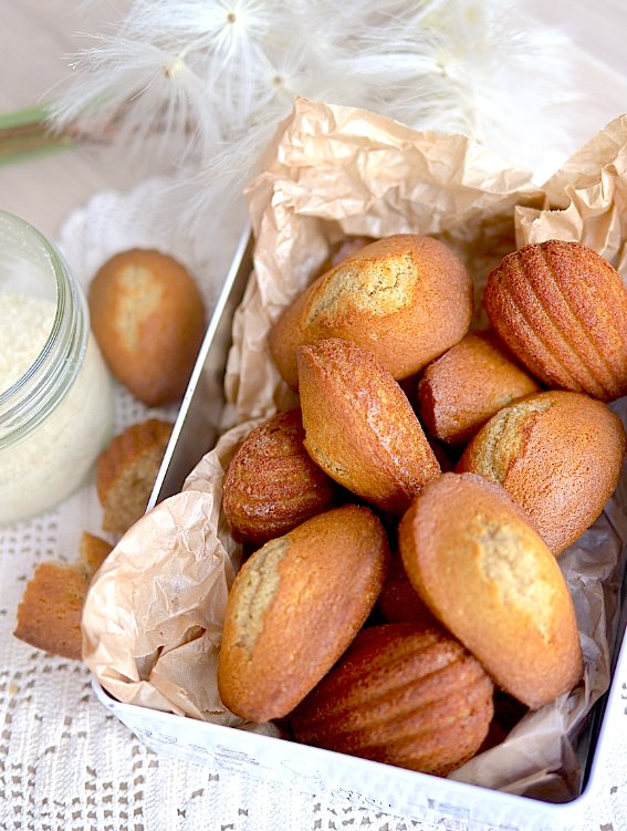 Madeleines à la vanille sans gluten et sans lactose pour un goûter sain et gourmand !