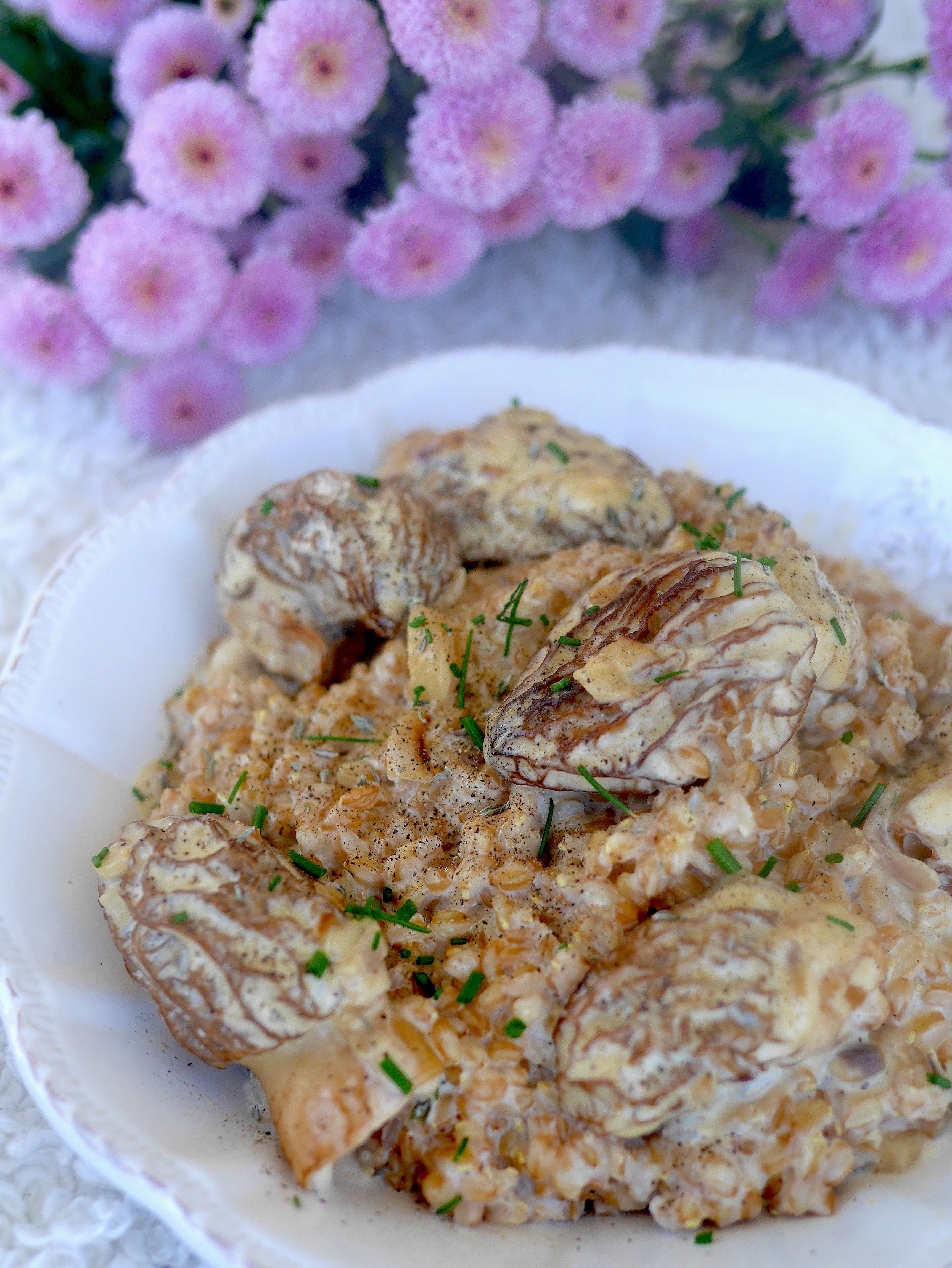 Risotto de petit épeautre aux morilles en version végétale !